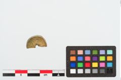 Foto von Beinperle (NHMW-PRAE-023991)